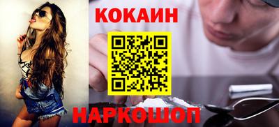 крисы Моздок