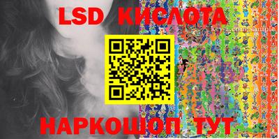 крисы Моздок