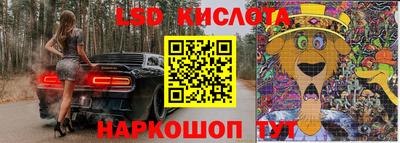 крисы Моздок