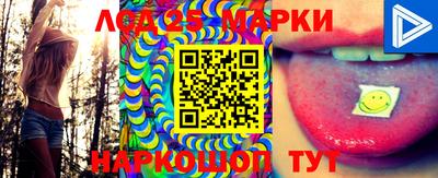 крисы Моздок