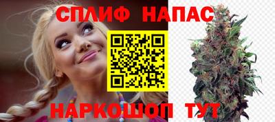 крисы Моздок