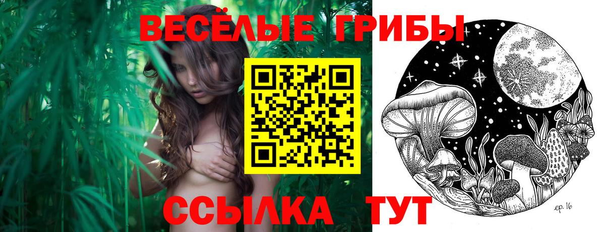 Псилоцибиновые грибы ЛСД Тобольск