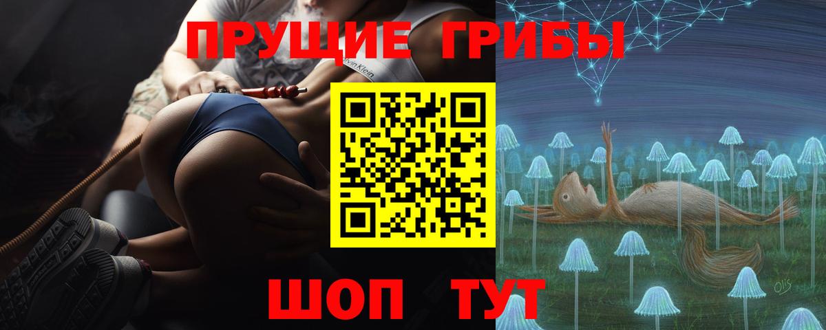 купить   Галлюциногенные грибы Psilocybine cubensis  Вход с VPN  Тобольск 